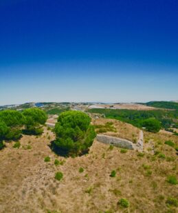 Forte nº 40 Aguieira