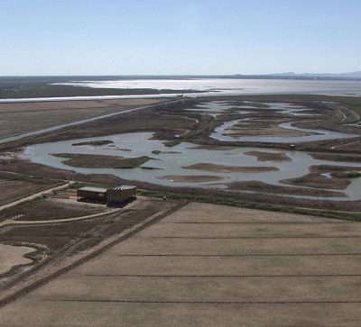 EVOA – Espaço de Visitação e Observação de Aves