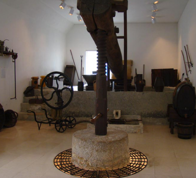 Núcleo Museológico do Vinho