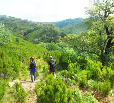 Tapada Nacional de Mafra
