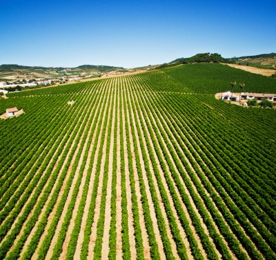 Grandes Desfiladeiros