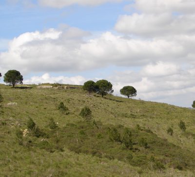 Forte 40 – Forte da Serra da Aguieira