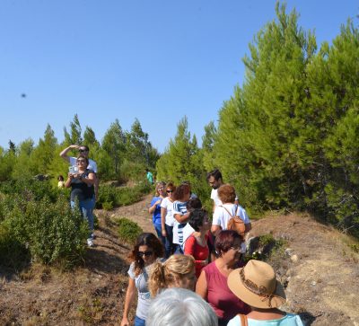 Roteiro Nº2 – A Rota Histórica das Linhas de Torres